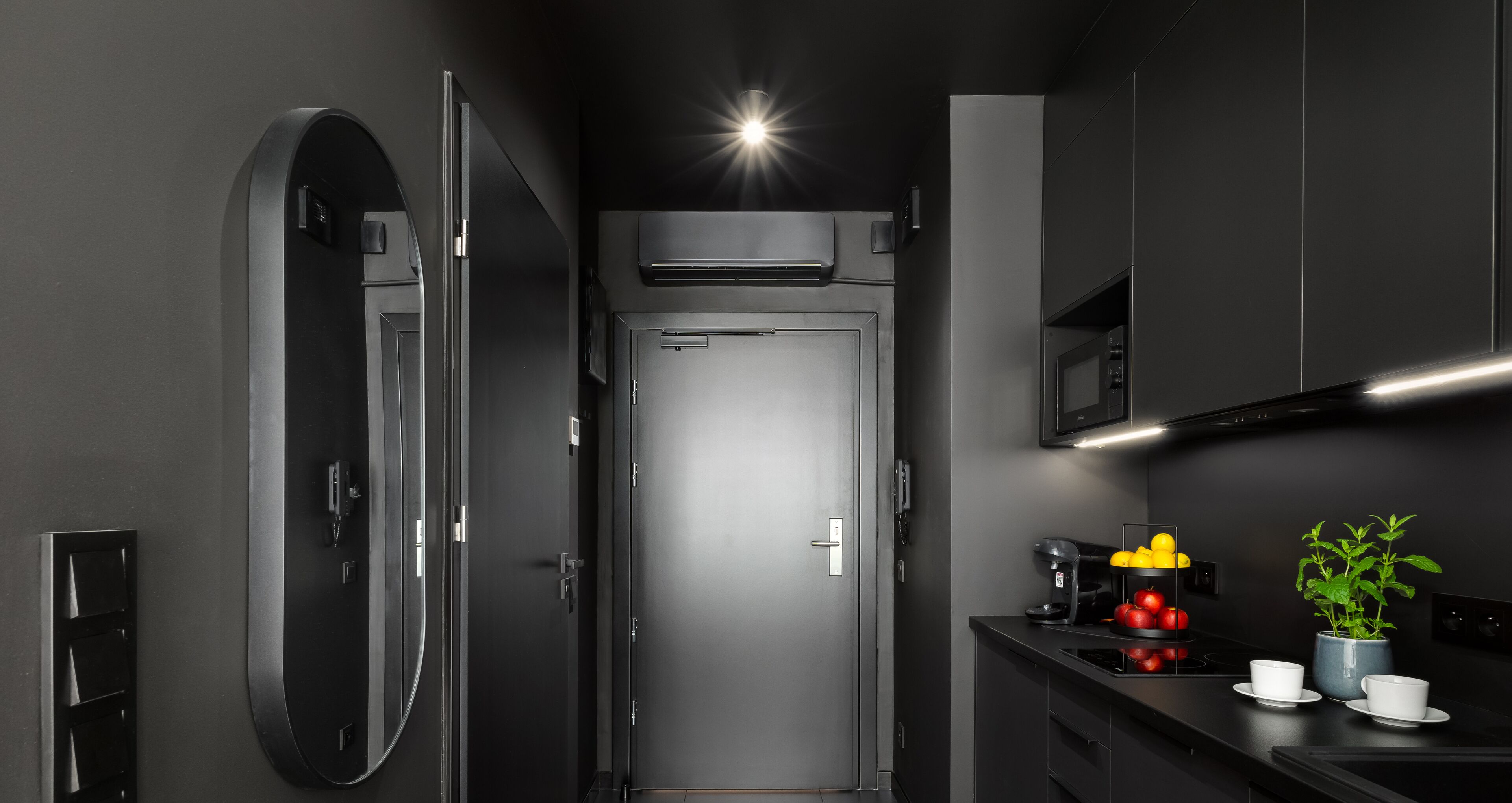 Deluxe Studio Suite | Private kitchen | Fridge, microwave, stovetop, dishwasher