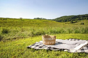 Un champ verdoyant où est installé un coin pique-nique, avec une nappe à carreaux et un panier sur lequel est écrit « DAYDREAM BELIEVER ».
