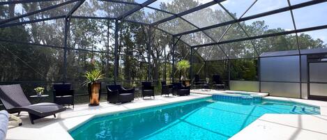 Una piscina al aire libre techada con sillas de descanso y plantas en macetas.
