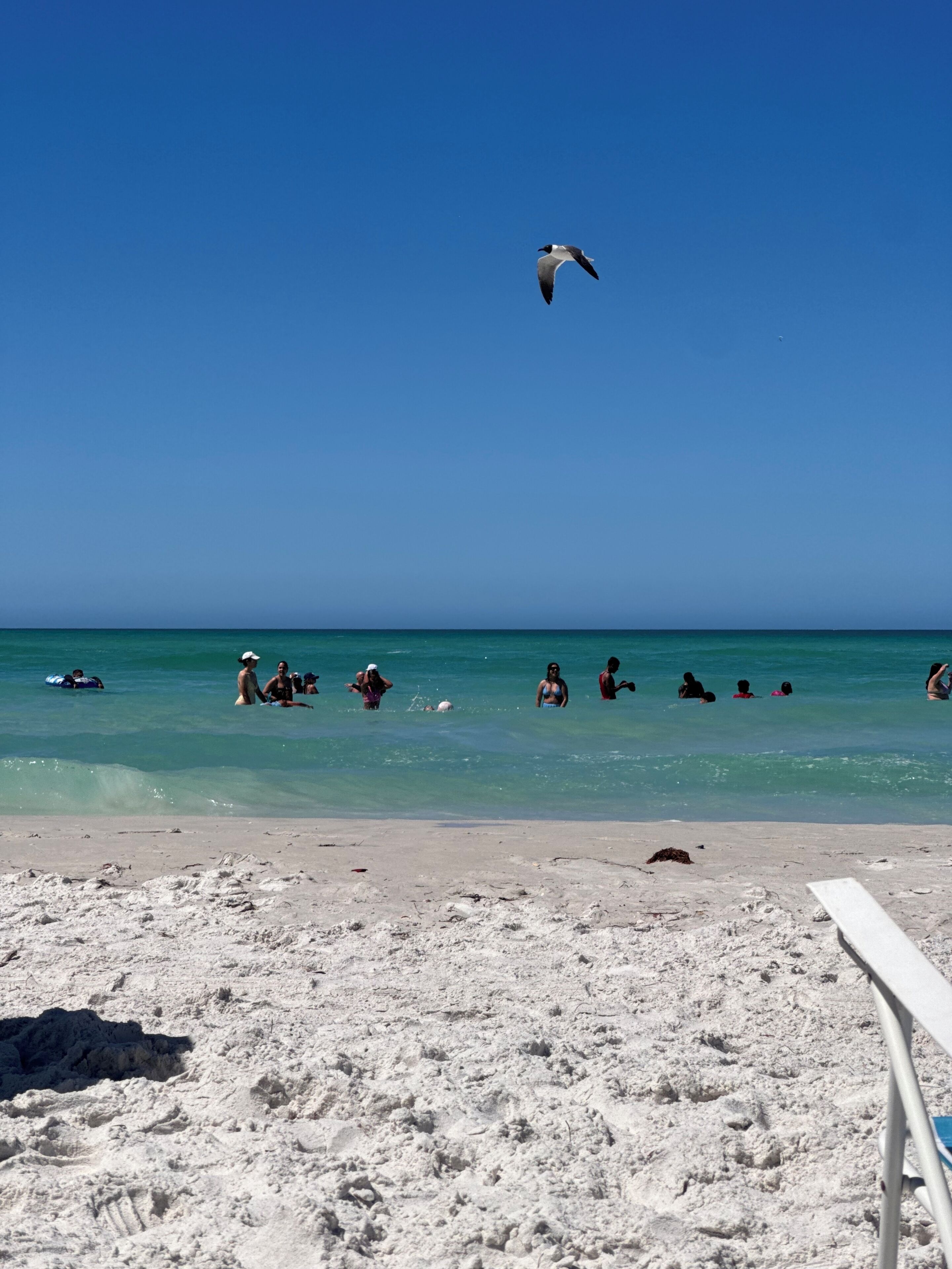 Chaises longues, serviettes de plage
