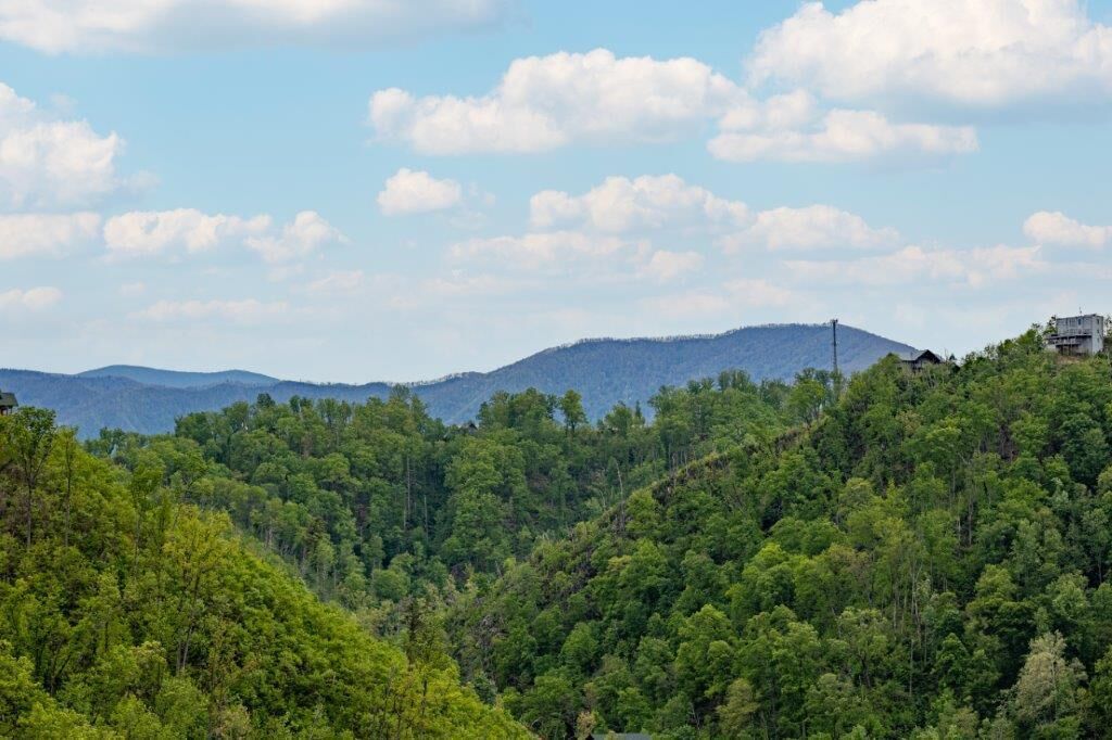 A mountainous landscape with dense forest and a clear sky.