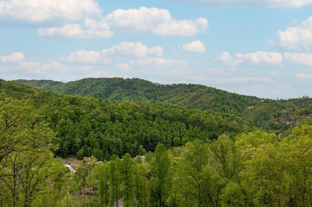 A forested landscape with a valley and a small building in the distance.