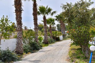 Apartment | Property grounds