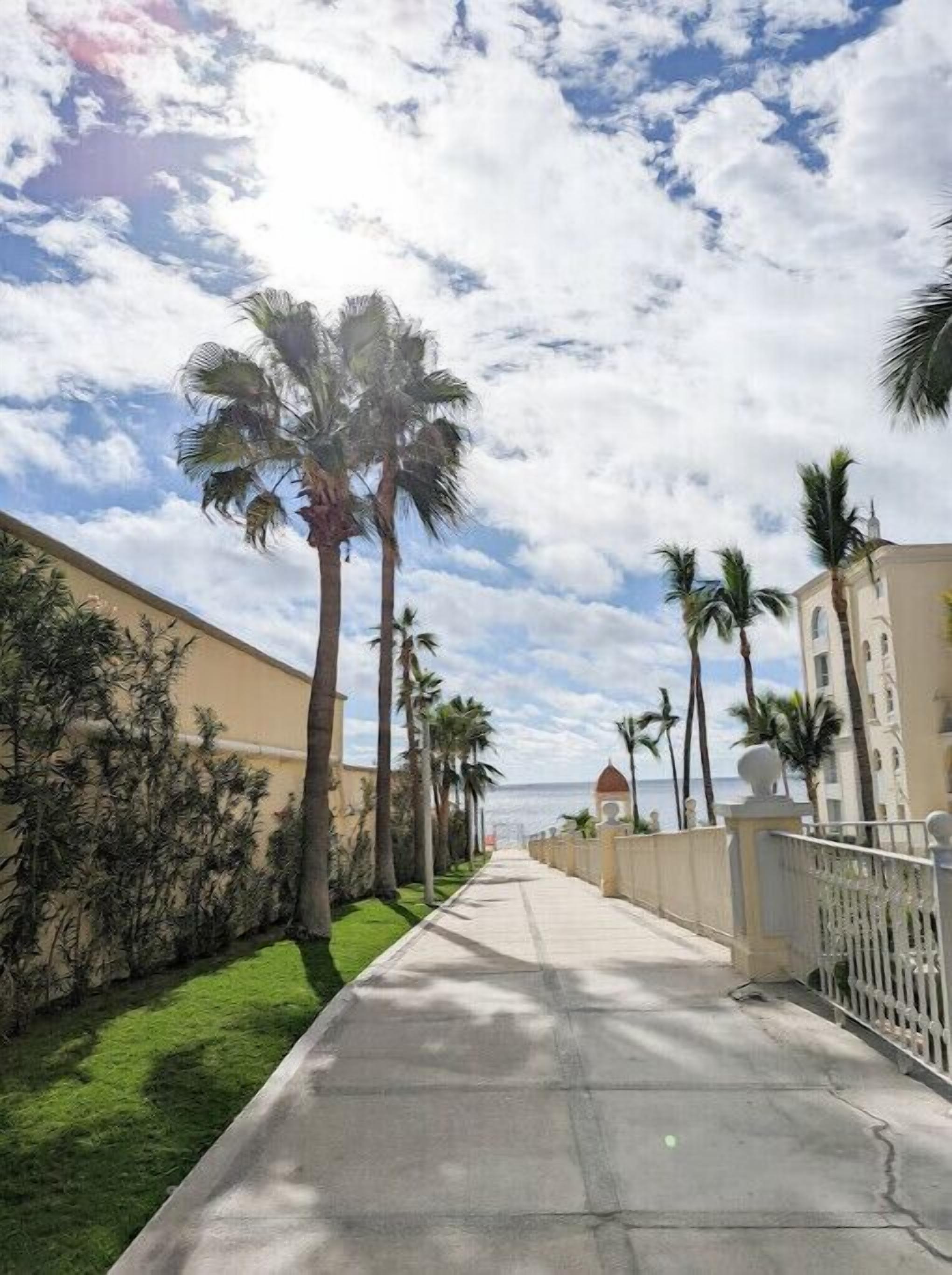 A pathway lined with palm trees and a building with a dome structure.