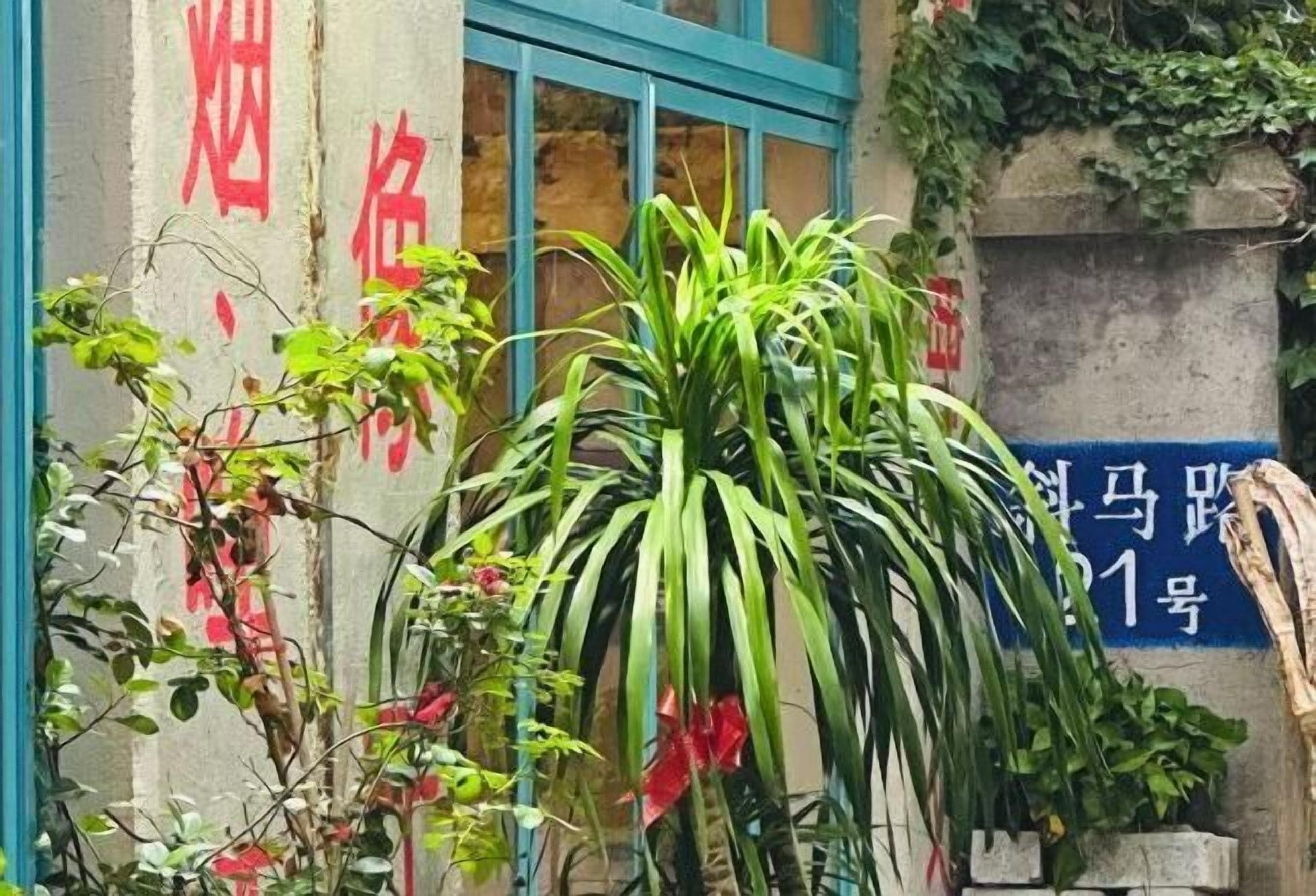 Vista desde la propiedad