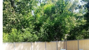 A backyard with a patio area, a lawn, and a wooden fence.