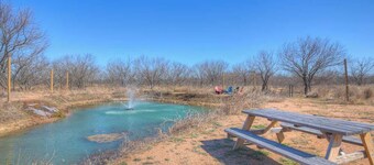 Selena-romantic Tiny Home-firepit