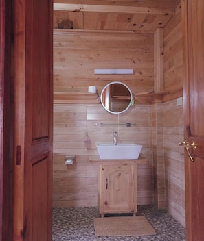 Separate bathtub and shower, towels