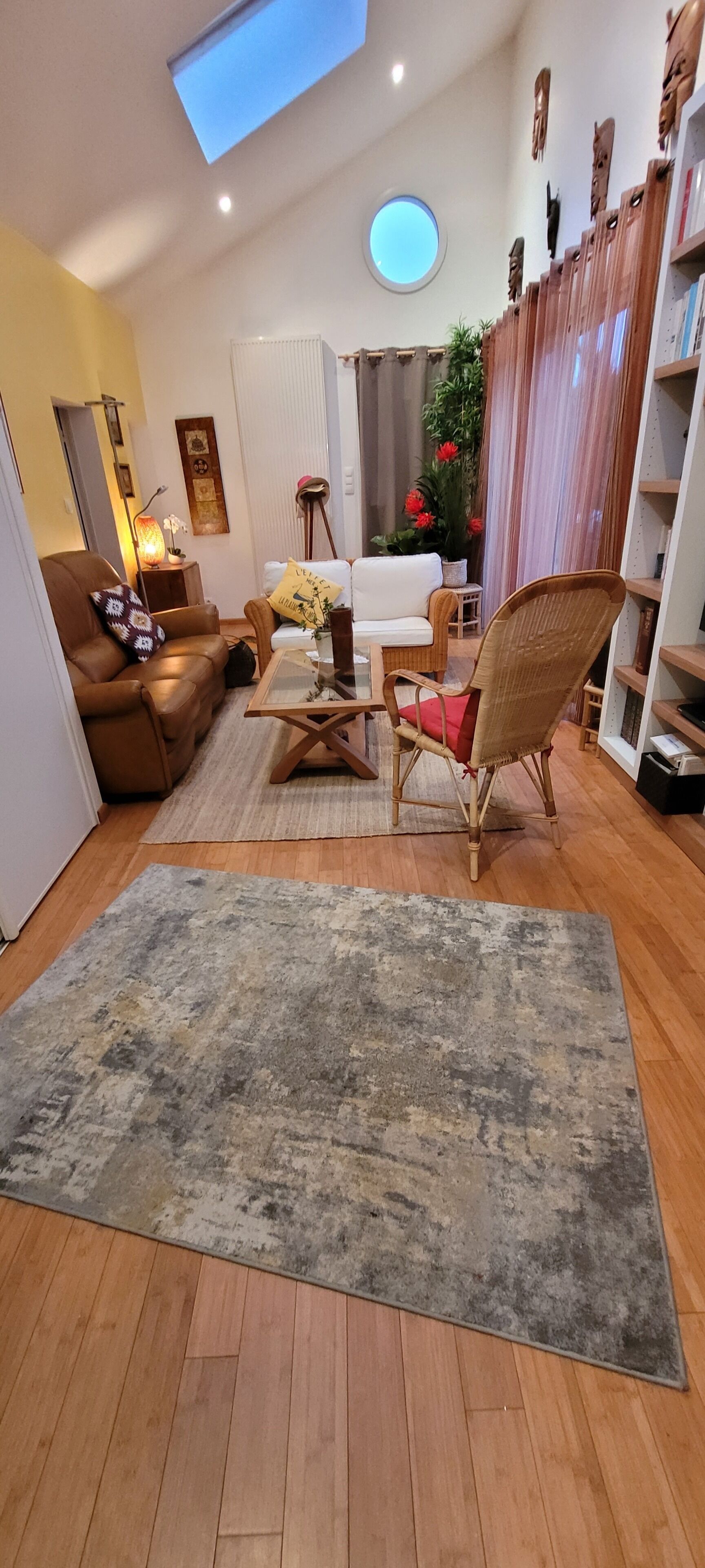 Télévision, cheminée, lecteur de DVD, livres