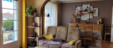 Télévision, cheminée, lecteur de DVD, livres