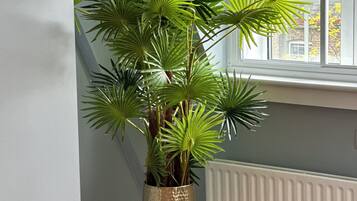 Apartment | Interior