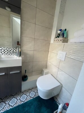 Hair dryer, towels, soap, toilet paper