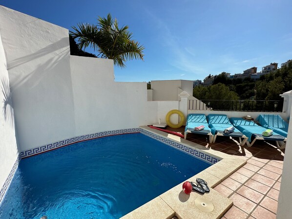 A swimming pool with blue tiles, a white wall, and a palm tree.