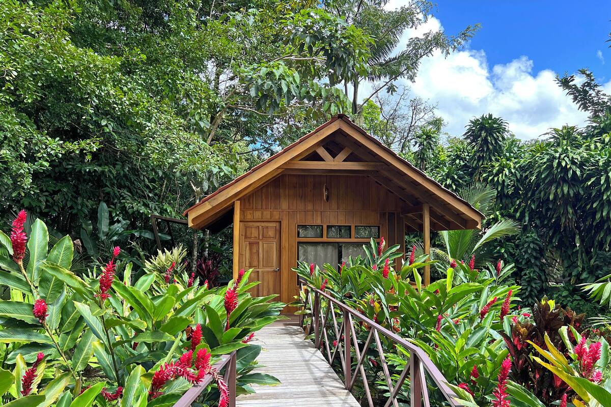 A wooden cabin with a wooden deck leading to it, surrounded by lush greenery and tropical plants.
