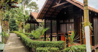 Natural Green Lodge