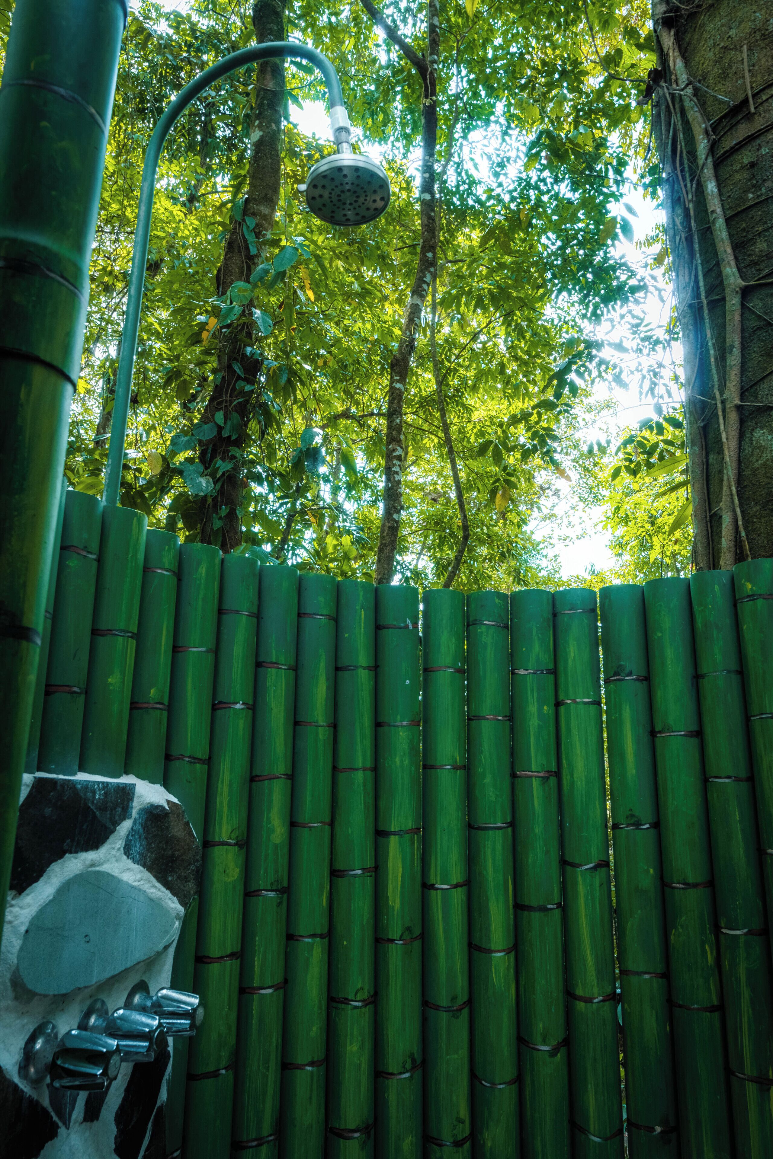 A bamboo fence with a showerhead above it.
