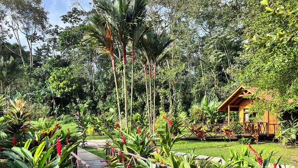 A wooden cabin surrounded by lush tropical gardens with a wooden walkway. - Natural Green Lodge (La Fortuna)