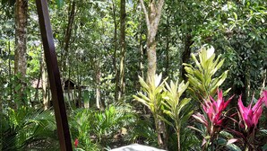 A hot tub surrounded by lush greenery and trees. - Natural Green Lodge (La Fortuna)