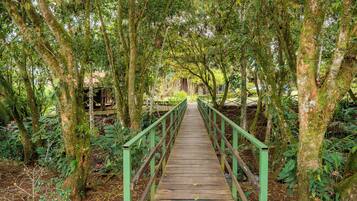 A wooden bridge with green railings in a forested area.