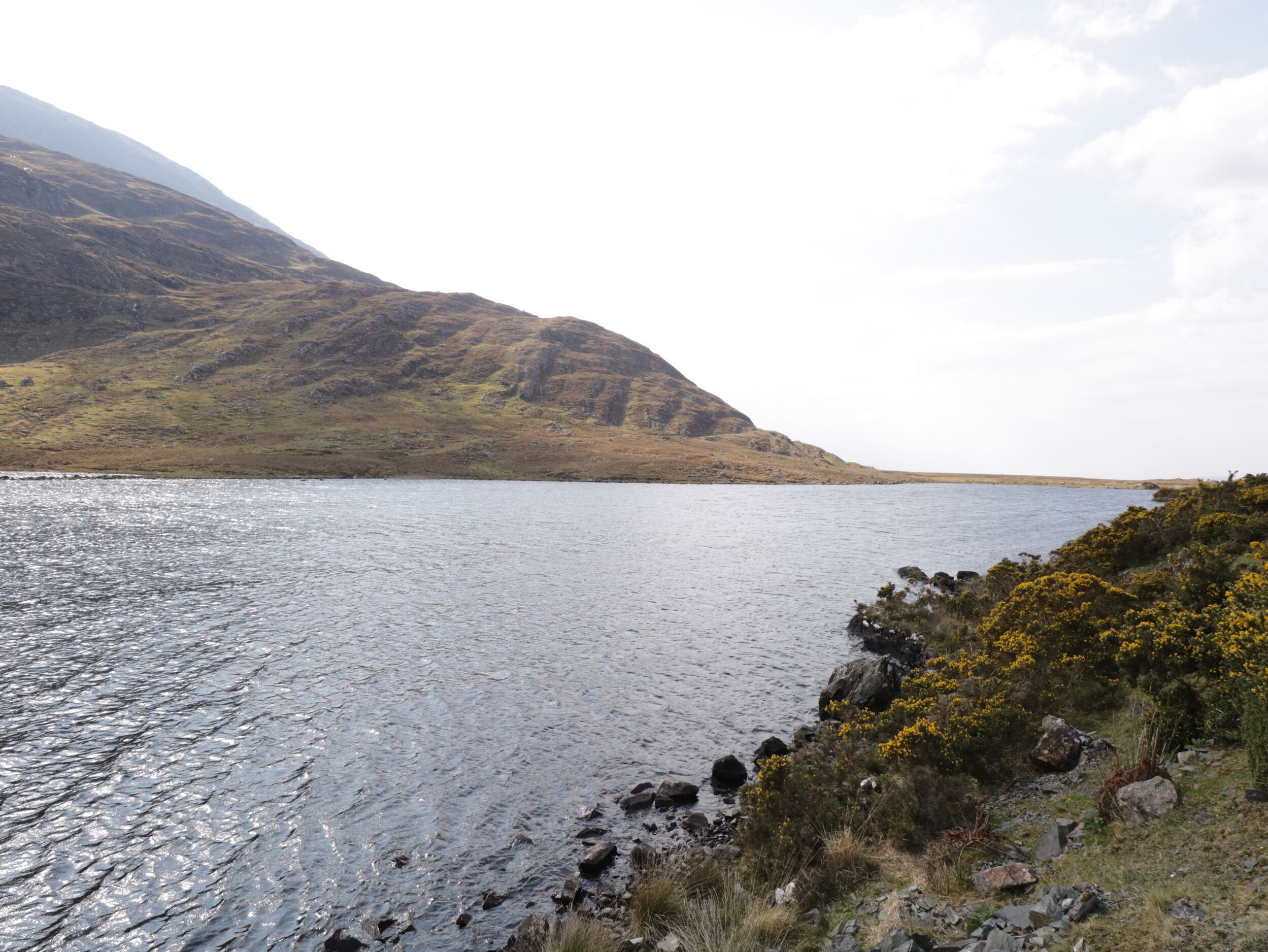 A lake surrounded by hills with rocky shores and yellow flowers.