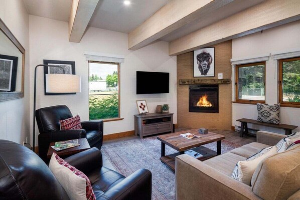 تلفزيون، مدفأة، كُتُب