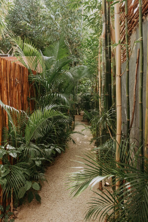 Exterior - Casa Chaká Boutique (Mérida)