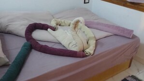 객실