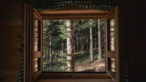 A window with a view of a forest. - Jela Natural Resort (Rozaje)