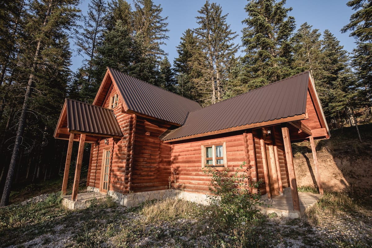 A log cabin with a metal roof, surrounded by a forest.