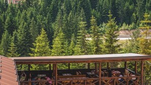 A wooden deck with tables and benches overlooking a forested area. - Jela Natural Resort (Rozaje)