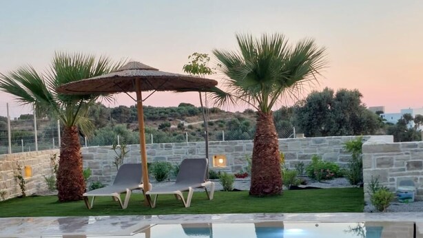 An outdoor swimming pool with lounge chairs and a shaded area, surrounded by palm trees and a stone wall. - Villa Luna 1 with swimming pool in Pitsidia (Pitsidia)