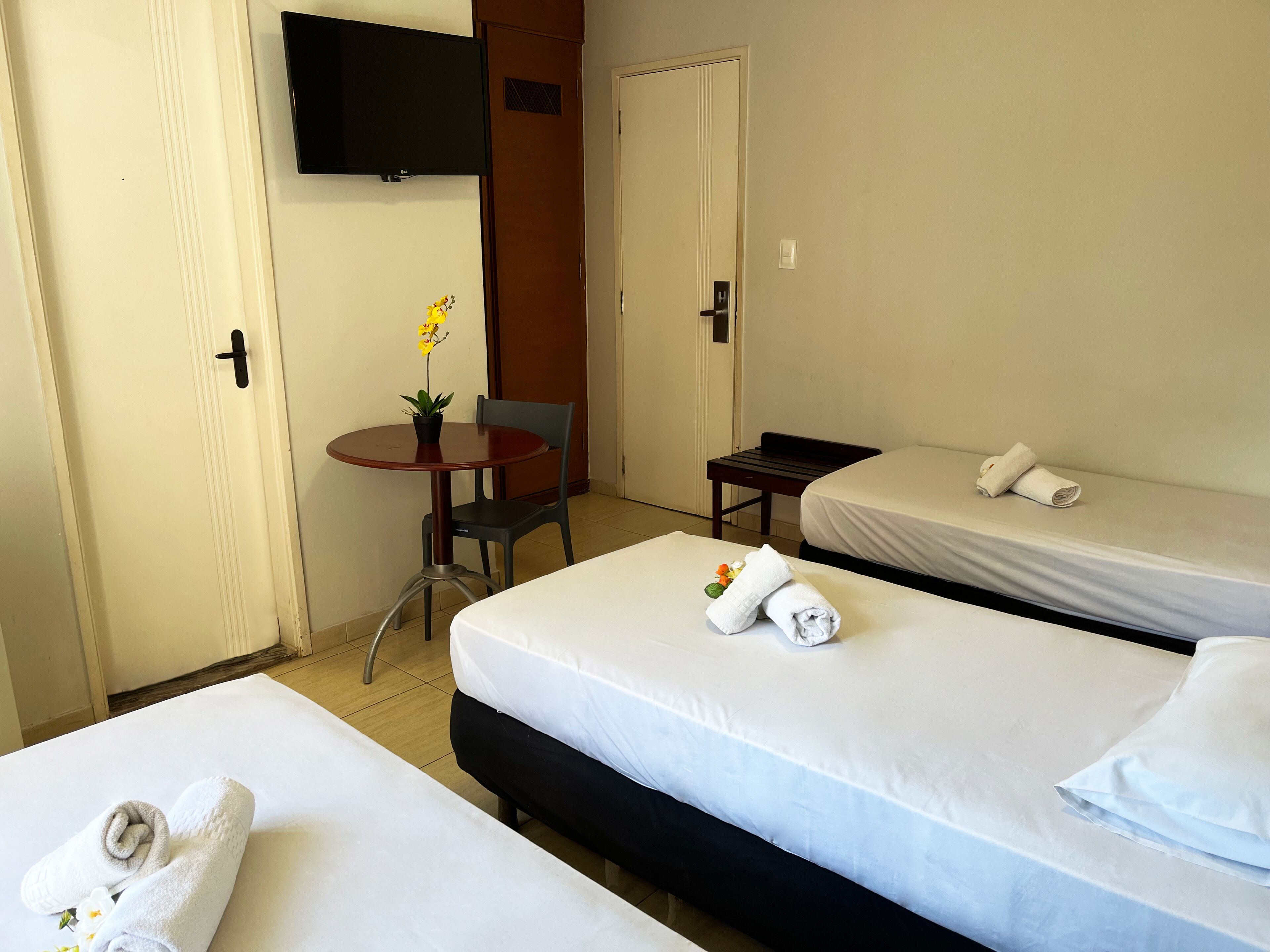 A hotel room with two beds, a small table with a chair, a potted plant, and a TV mounted on the wall.