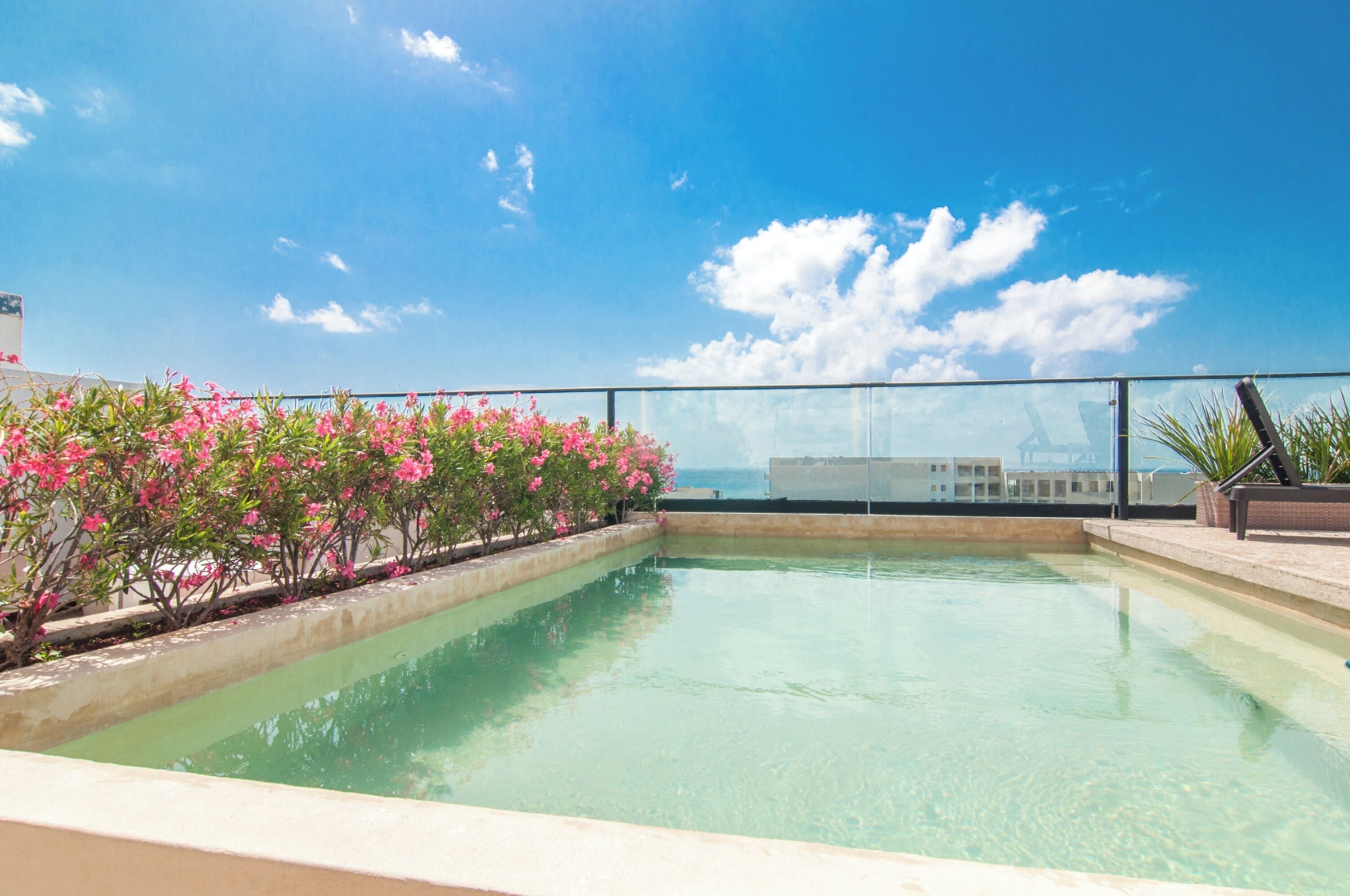Piscine extérieure