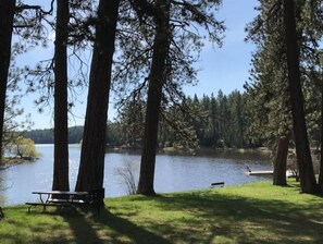 Un parco sul lago con tavoli da picnic e panchine, circondato da alberi alti.
