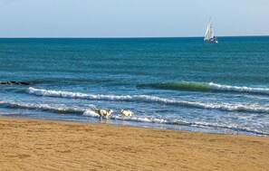 Plage à proximité