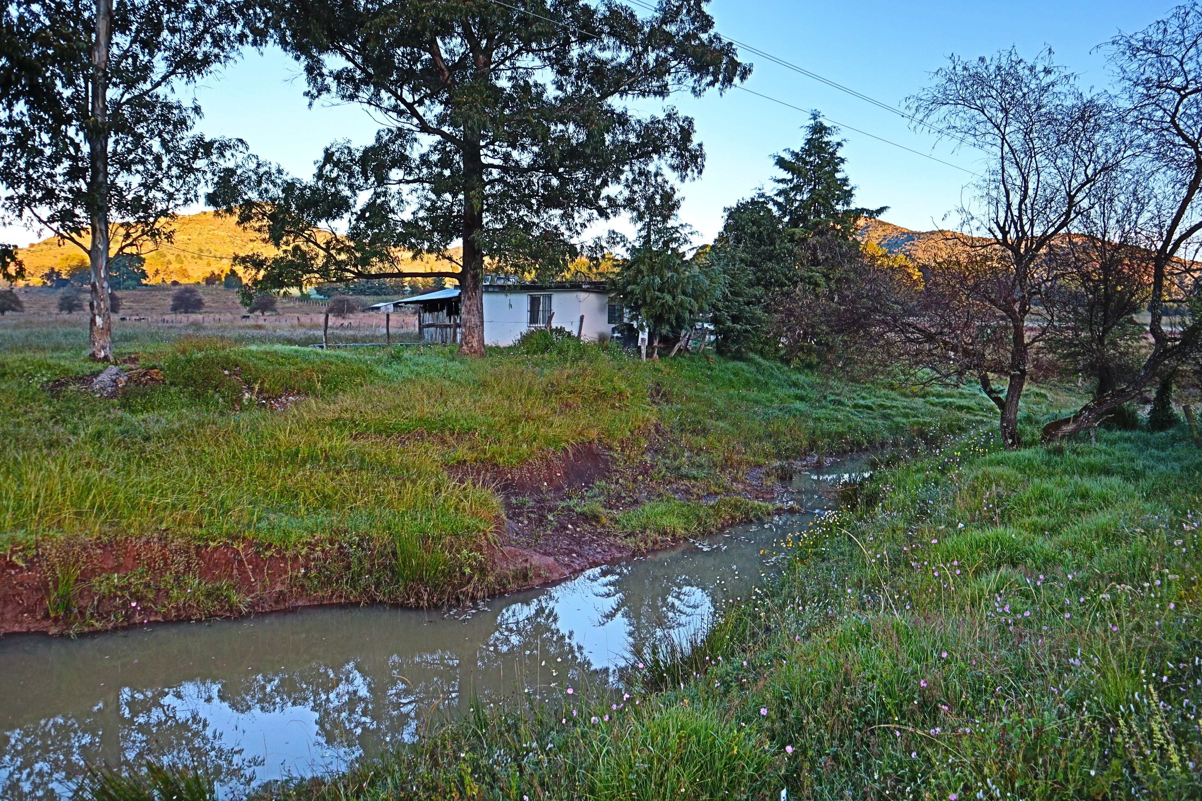 Photo - Masia Arameni