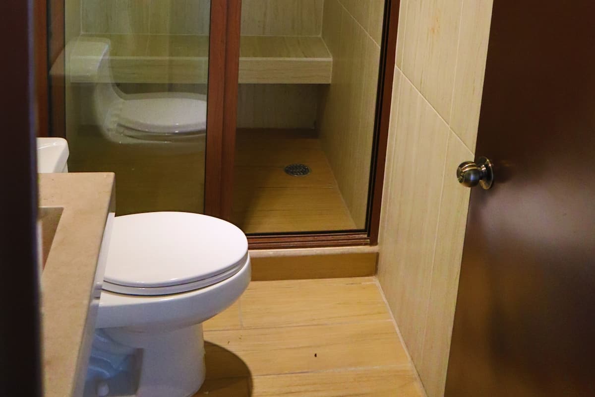 Une salle de bain avec une douche à parois de verre, des toilettes et un plancher en bois.