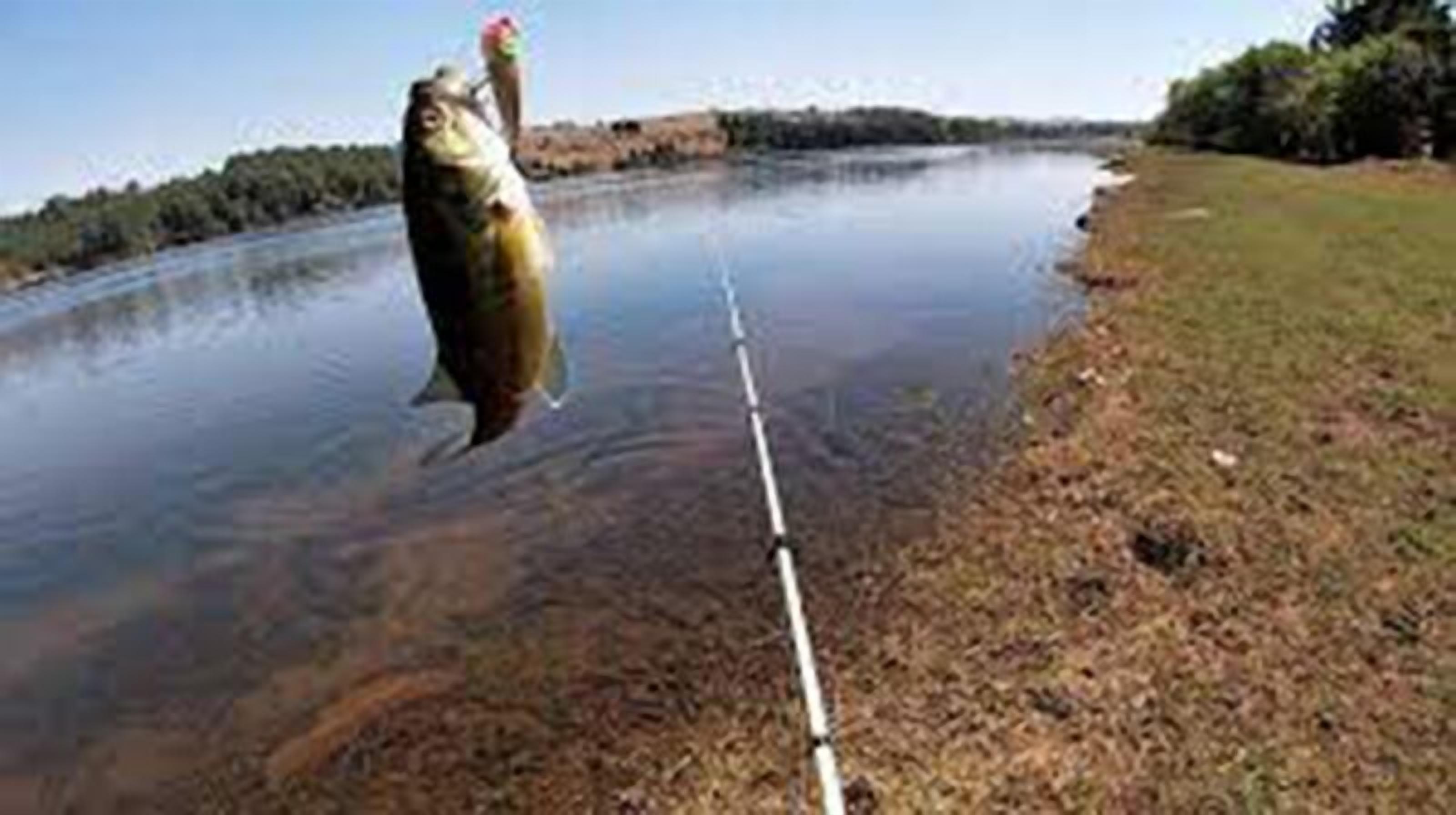 Foto - Masia Arameni