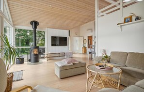 Fernseher, Kamin