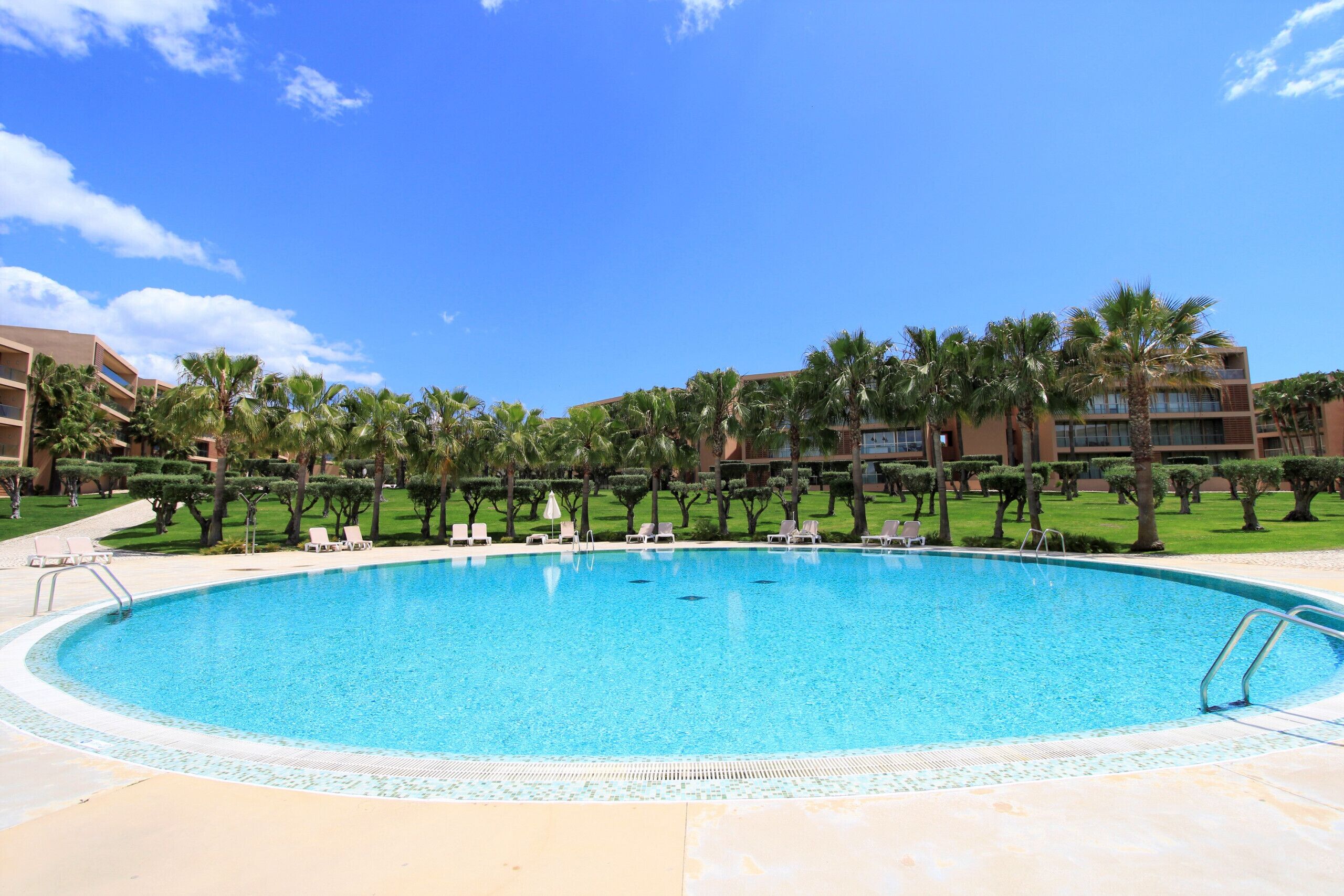A large, clear swimming pool surrounded by palm trees and lounge chairs, with modern buildings in the background.