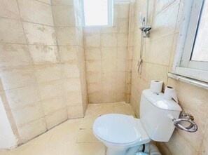 Shower, hair dryer, towels, toilet paper