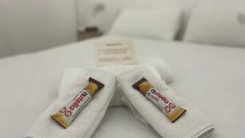 Shower, hair dryer, towels, toilet paper