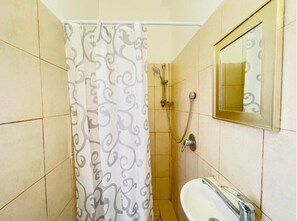 Shower, hair dryer, towels, toilet paper - Godson Guest House down town Haifa #6 (Haifa)