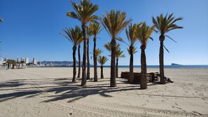 Playa en los alrededores 