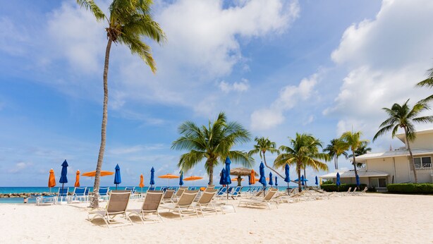 Une plage de sable blanc, bordée de palmiers et ponctuée de parasols bleus.