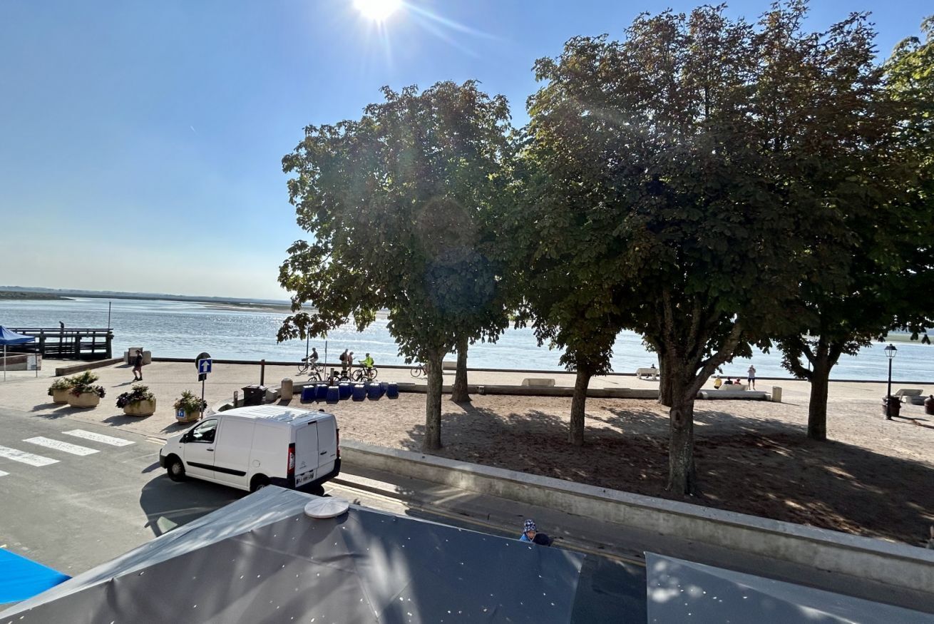 Una strada costiera con un furgone bianco parcheggiato a lato, un attraversamento pedonale e una spiaggia con alberi e cielo sereno.