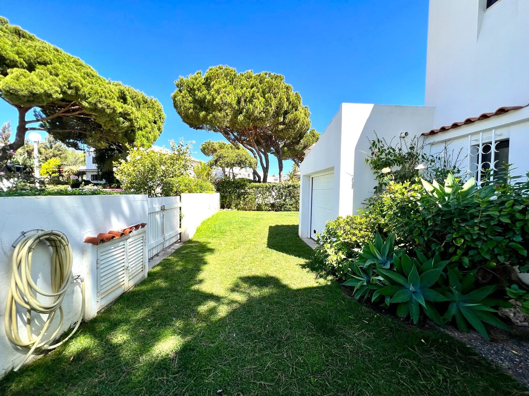 A well-maintained garden with neatly trimmed hedges and a variety of trees.
