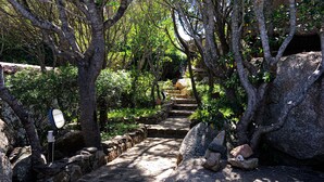 Un sendero de piedra flanqueado por árboles y rocas, que conduce a una escalera de piedra.