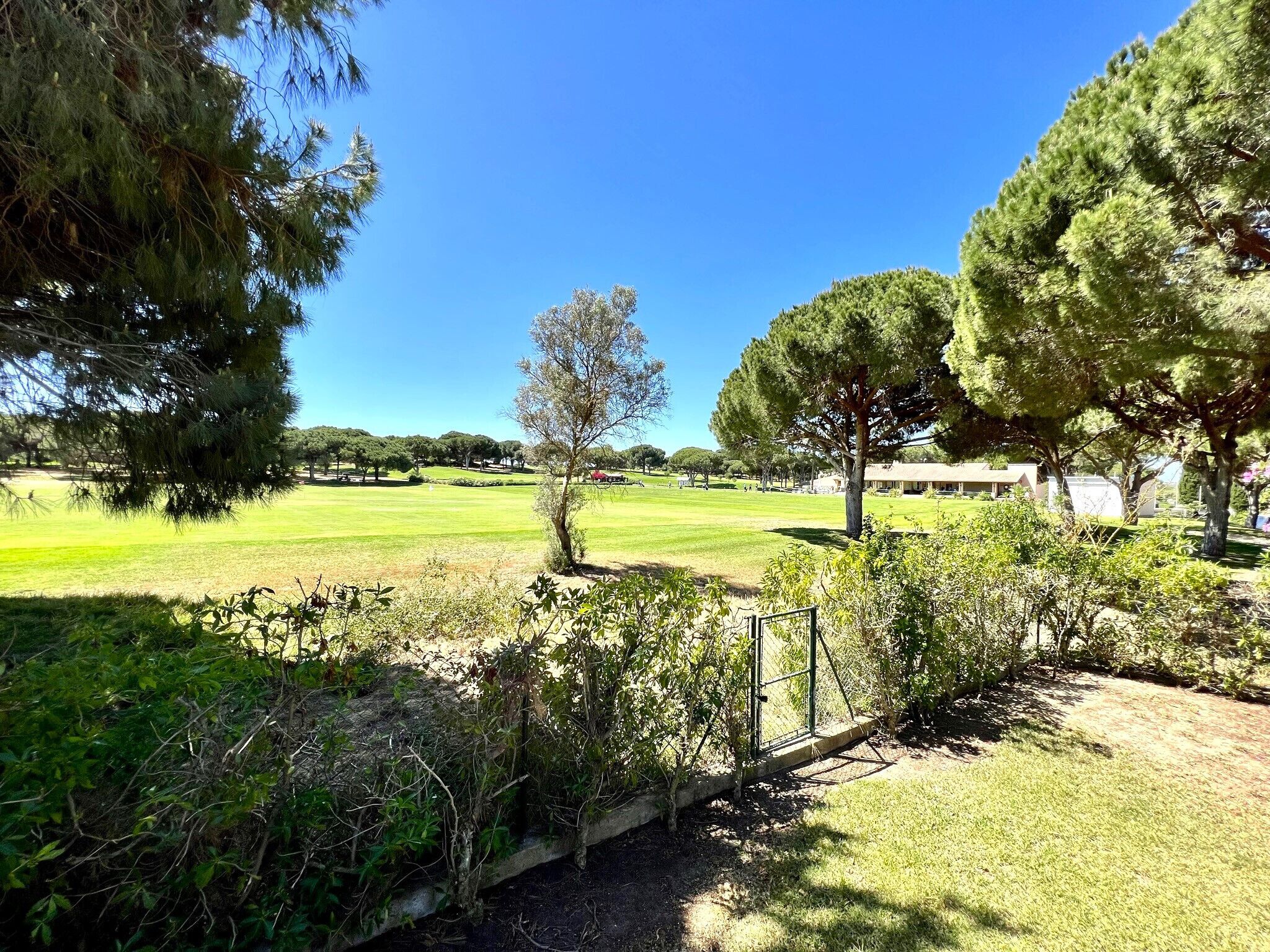 A golf course with trees and a building in the background.