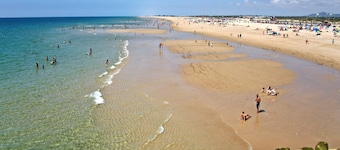 Tavira Palm Tree by Homing